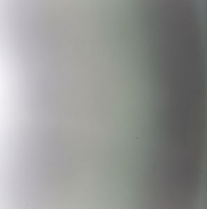 Meet your Posher, Phillip